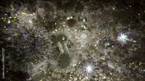 Sparkling forest canopy with glittering light particles in tranquil nighttime scene