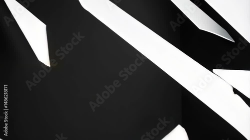 Dynamic black and white abstract patterns create geometric motion