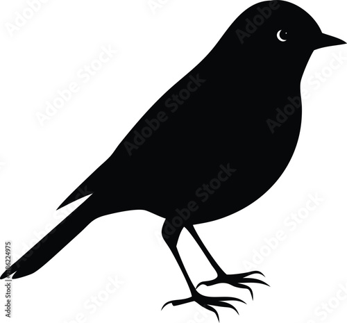 Black bird silhouette stands against a white background, looking toward the right side peacefully