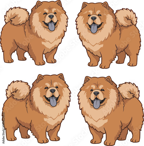 Breed Chow Chow Dog Vector