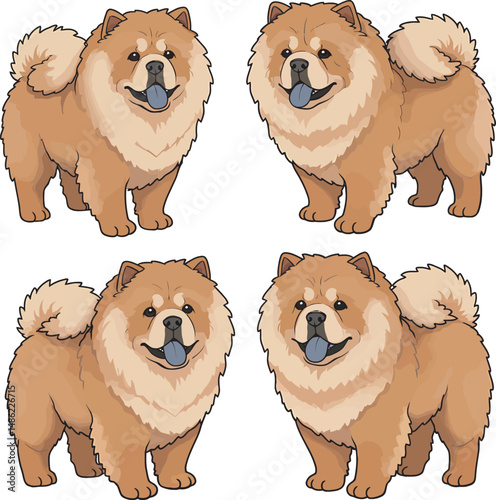 Breed Chow Chow Dog Vector