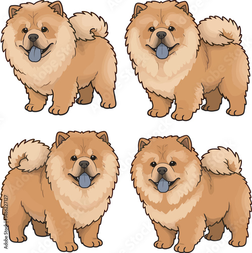 Breed Chow Chow Dog Vector