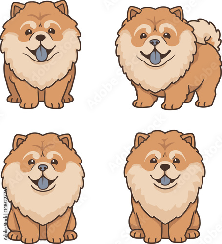 Breed Chow Chow Dog Vector