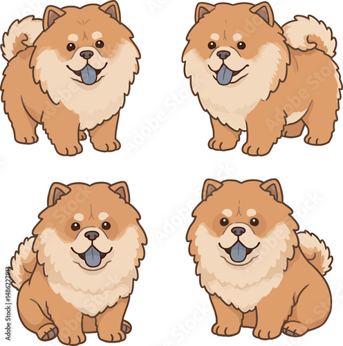 Breed Chow Chow Dog Vector