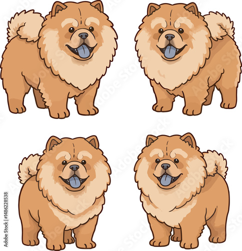 Breed Chow Chow Dog Vector