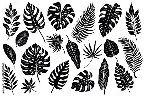 Tropical leaves silhouette. Monochrome silhouette black tropical jungle greenery