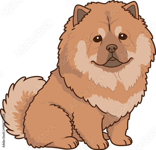 Breed Chow Chow Dog Vector