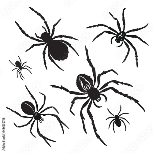 The image displays six black silhouette illustrations of spiders in various shapes and sizes, positioned on a white background.
