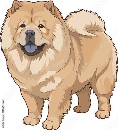 Breed Chow Chow Dog Vector
