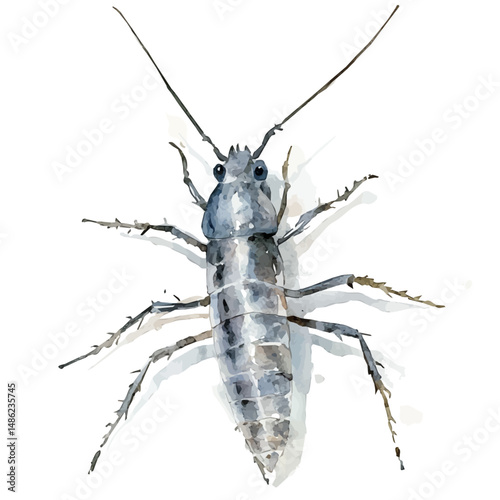 Silverfish Darting Across A Surface, watercolor vector, high quality, isolated on a white background.