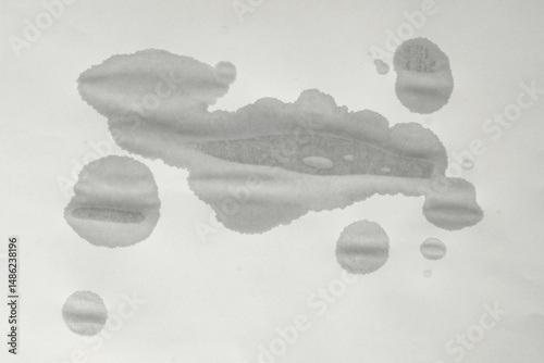 Wet spot on paper. Empty wet sheet of paper. Wet old paper