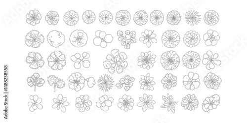 "Top View Tree and Plant Icons Set – Black and White Botanical Elements and Foliage Silhouettes"