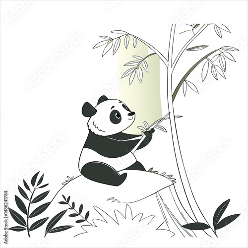 panda bamboo nature