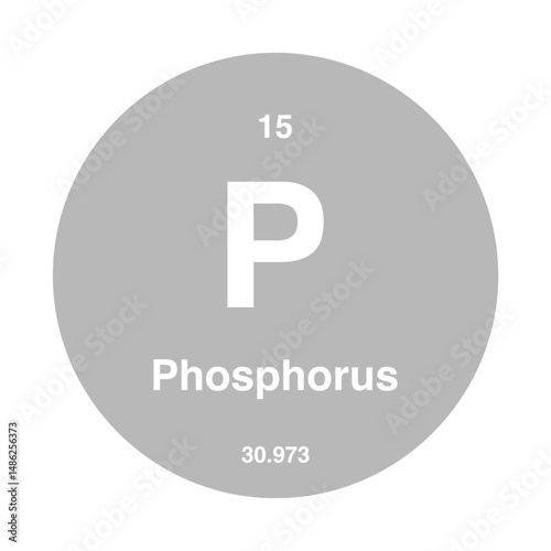periodic vector phosphorus isolated on transparent background