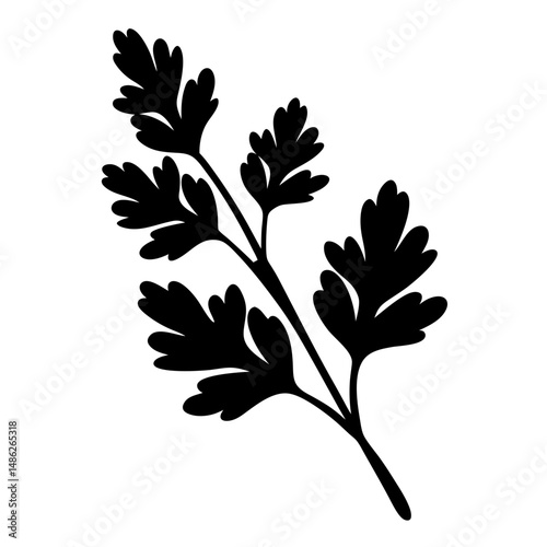 Simple Black Silhouette of a Parsley Herb Sprig on White Background