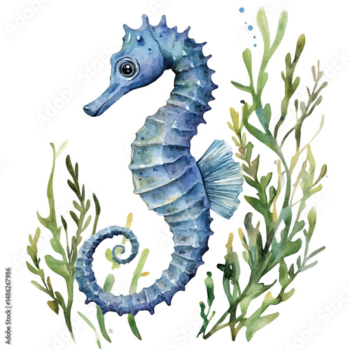 Seahorse Among Seaweed, watercolor vector, high quality, isolated on a white background.