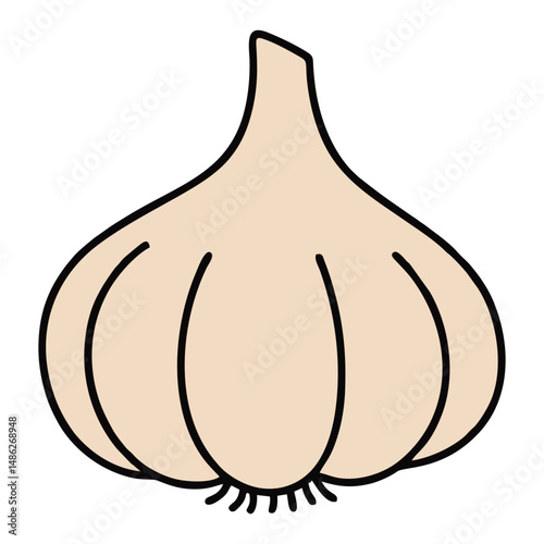 Vector illustration of a whole garlic bulb with subtle shading and clean outlines, emphasizing its natural segmented form. Perfect for culinary, herbal, or organic design themes.