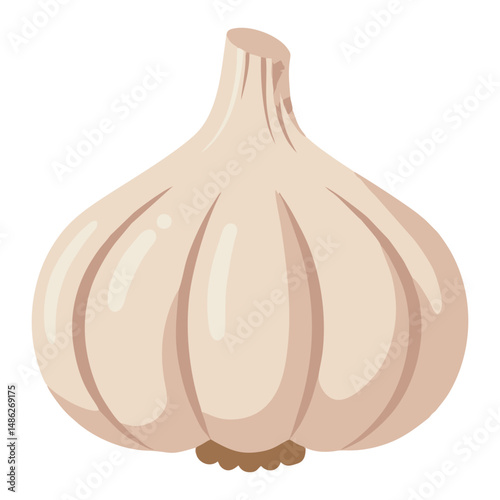Vector illustration of a whole garlic bulb with subtle shading and clean outlines, emphasizing its natural segmented form. Perfect for culinary, herbal, or organic design themes.