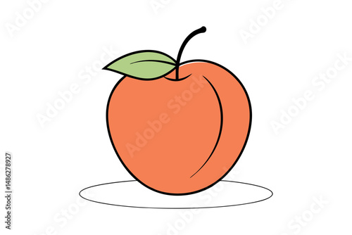 Outline vector of nectarine fruit illustration