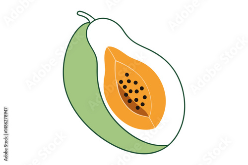 Papaya fruit vector with sliced section