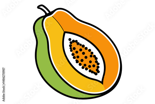 Hand drawn papaya slice fruit illustration