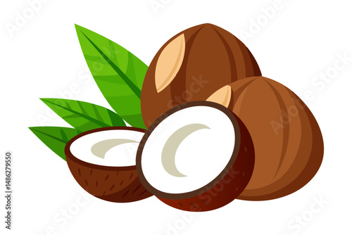 Coconut halves and slices with leaf detail