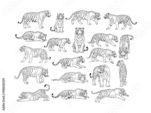 Tiger Line Art SVG Bundle | Wild Animal Outline Clipart | Walking Sitting Crouching Tiger Vector Set .