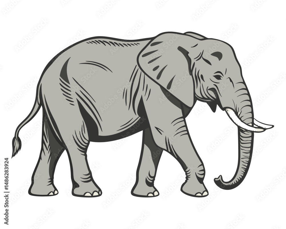 Fototapeta premium Elephant Vector Silhouettes and Detailed Walking Elephant Illustration – Wildlife Animal Icons for Safari, Zoo, Nature, and Conservation Design.