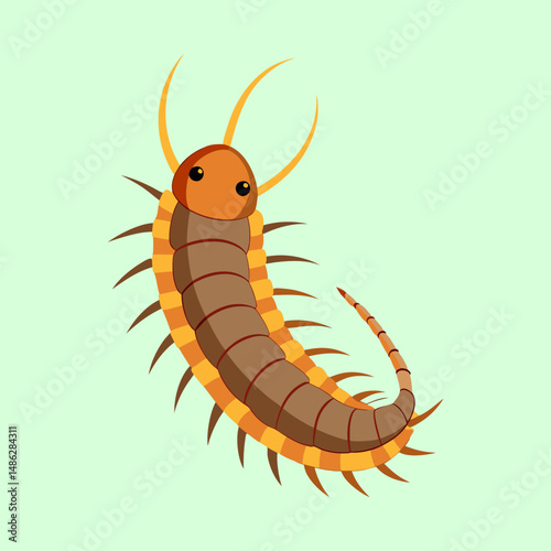 Cartoon Centipede Illustration with Orange and Brown Tones on Light Green Background