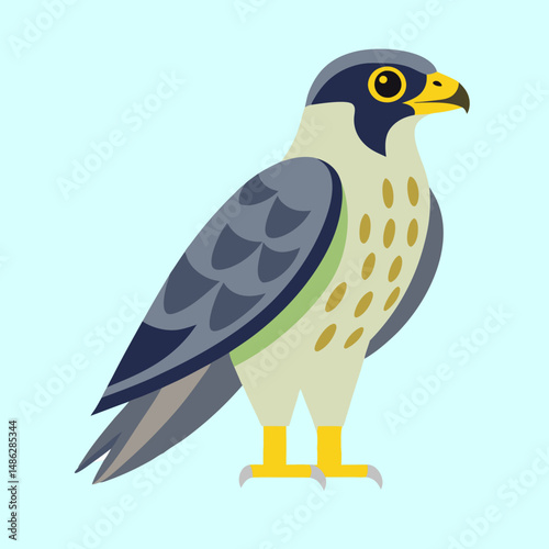 vector illustration of a falcon