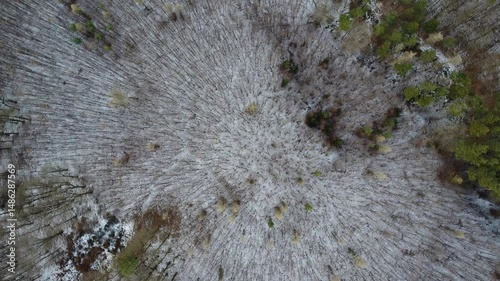 A stunning drone aerial top-down view capturing the intricate patterns of a snowy forest floor and bare branches in winter