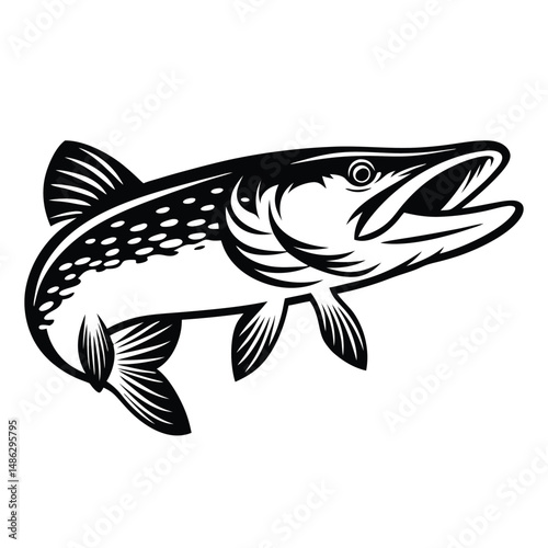 Monochrome Northern Pike Illustration. Elegant Outlined Fish Art Isolated on White