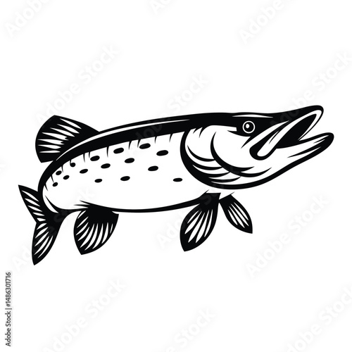 Northern Pike Fish Black and White Outline Illustration, Isolated Silhouette, Detailed Art