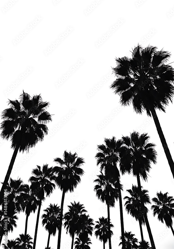 Fototapeta premium Palm Silhouette Symphony AI Generated