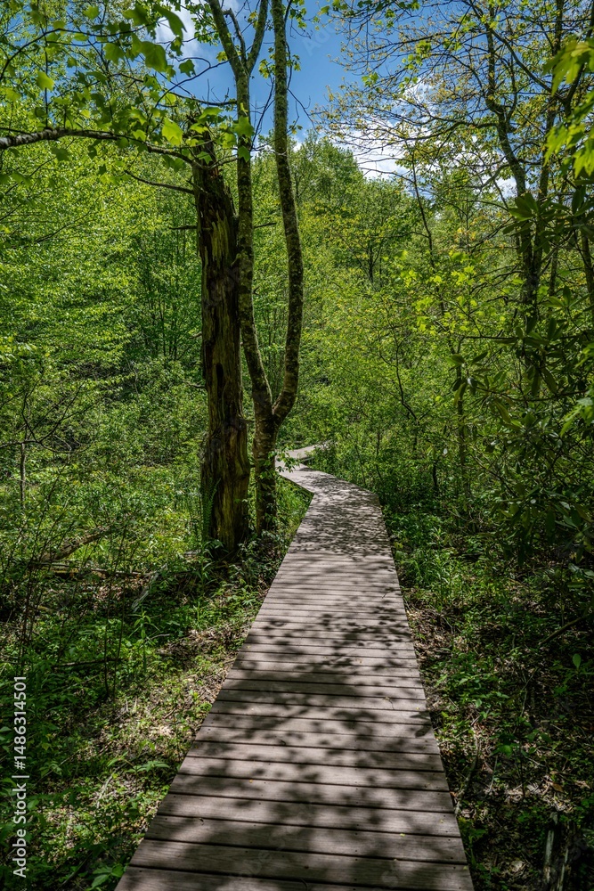 Obraz premium highlands, NC