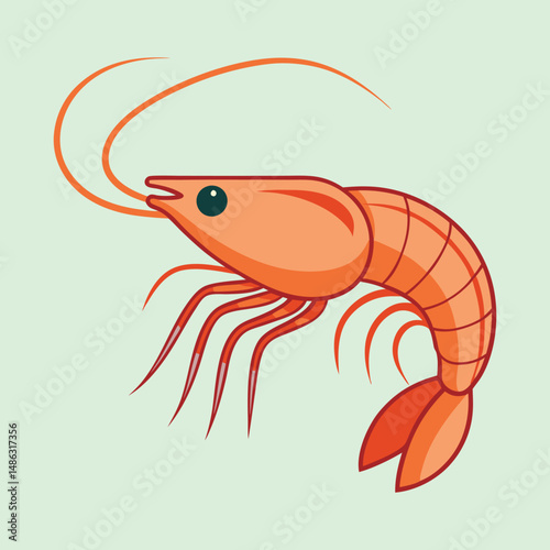 vector illustration of shrimp