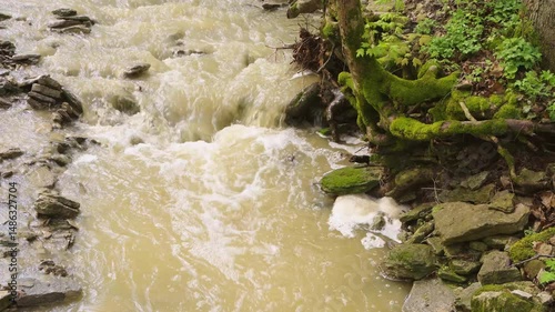 water flowing in the forest