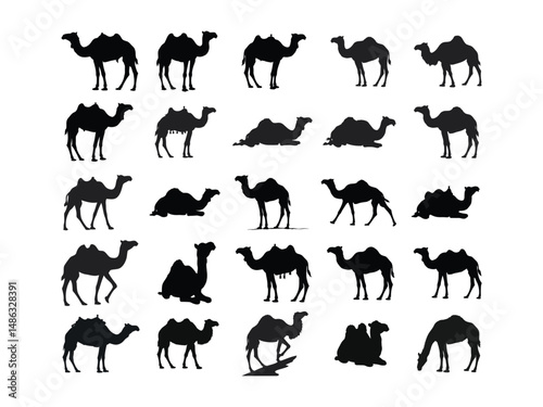 Camel Silhouette Clipart Bundle – Desert Animal Vector Graphics for Sublimation, Travel Art, and Wildlife Design Projects .