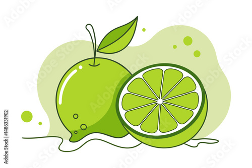 Lime fruit and wedge drawing isolated