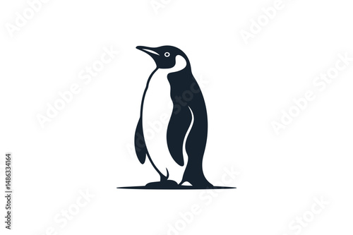 Penguin illustration antarctic bird vector image