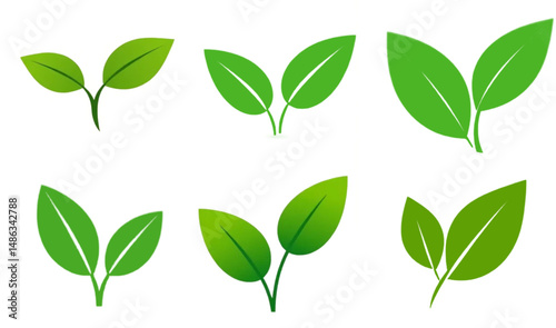 Set of green leaf icons. Leaves of trees and plants. Leaves icon. Collection green leaf. Elements design for natural, eco, bio, vegan labels. Vector illustration