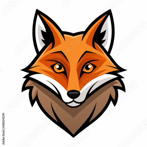 red fox vector illustration
