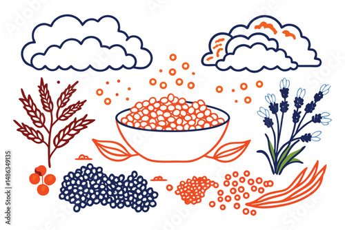 Quinoa, lentils, and greens softly shaped into curving, cloud-bordered sections