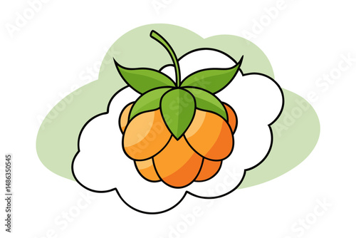 cloudberry vector clean flat design