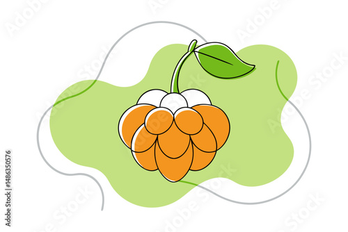 cloudberry vector minimal line art