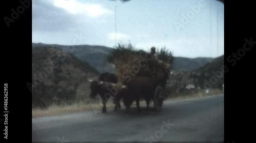 Oxcart on Sardinia 1964 - An ox drawn cart makes its way on a rural road in the hills of Sardinia, in 1964.