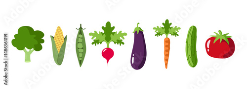 Vegetable food illustration vektor icon set: broccoli, corn, peas, radish, eggplant, carrot, cucumber, tomato