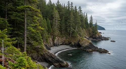 Coastal Forest and Rocky Shoreline on an Overcast Day