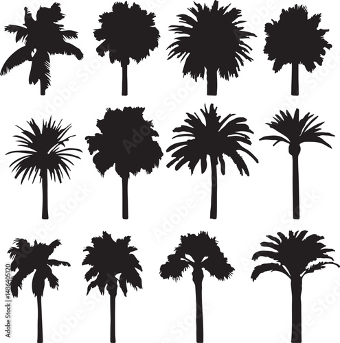 Palm Tree Silhouettes Vector: Tropical Trees Graphic Design Elements