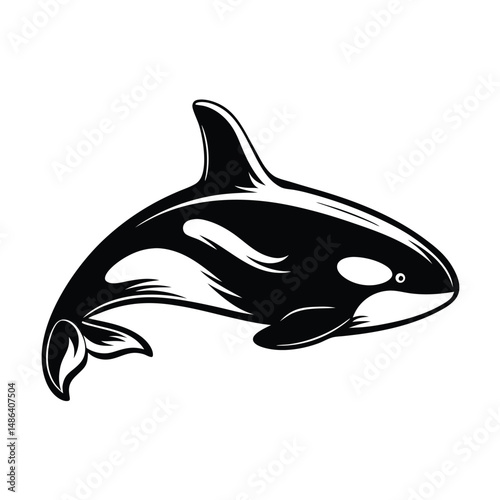 Orca Silhouette, Killer Whale with Distinctive Black and White Markings, Sea Animal